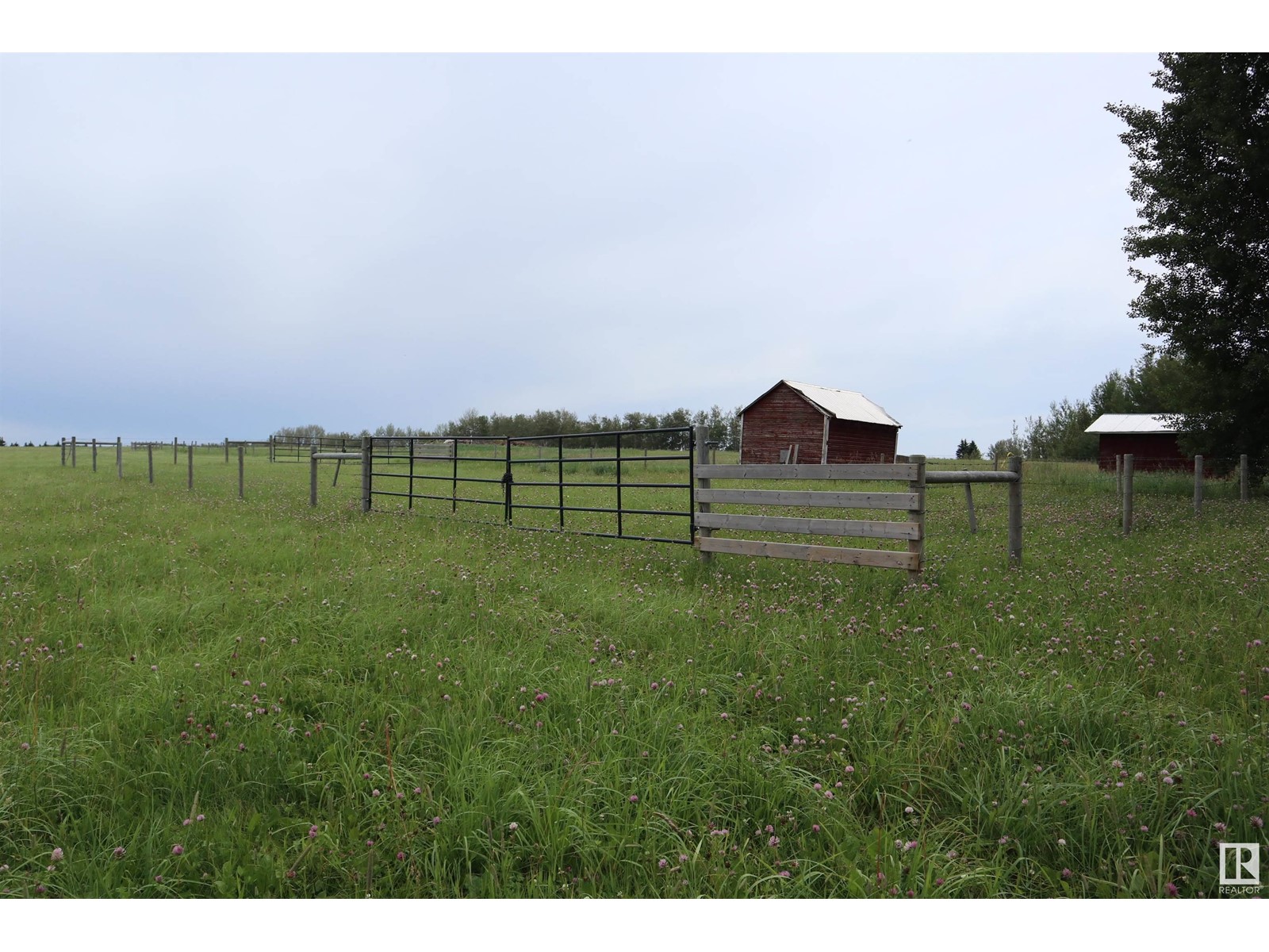 Rr 13 Twp 473a, Rural Leduc County, Alberta  T0C 2C0 - Photo 28 - E4376029