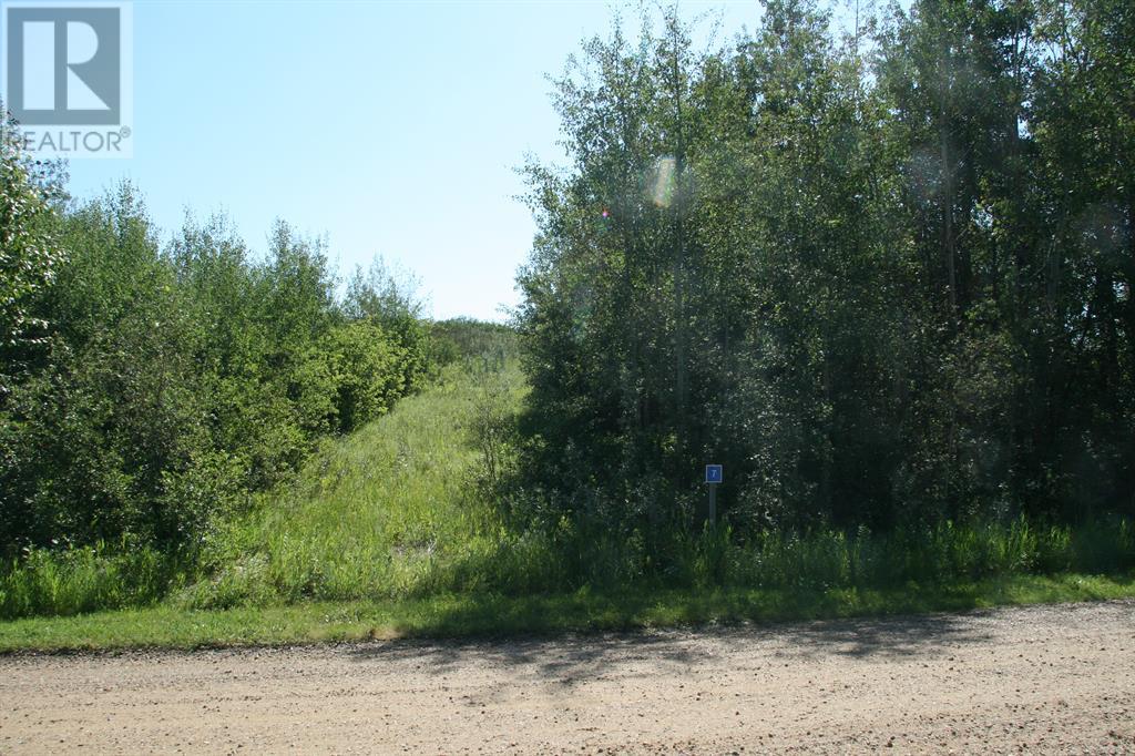 7 Buffalo Drive, County Of, Alberta  T0C 1G0 - Photo 2 - A2114847